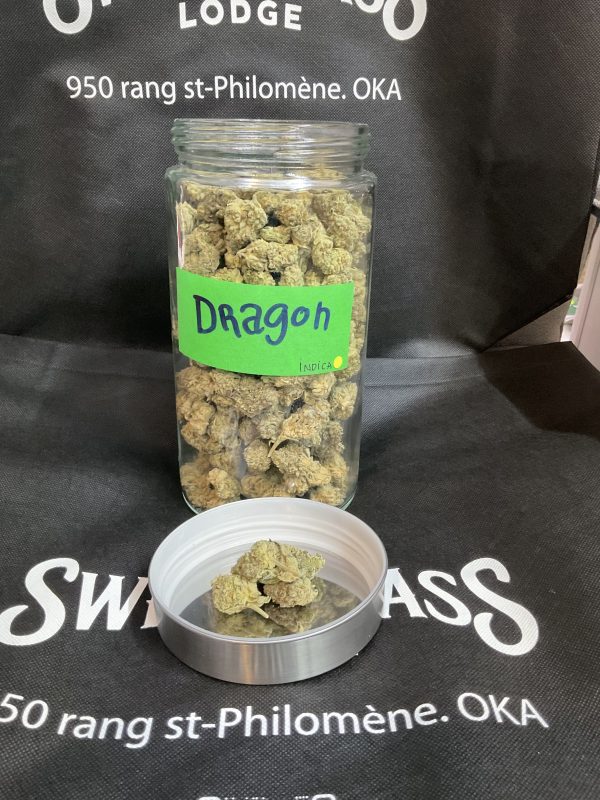 Dragon Indica For Sale