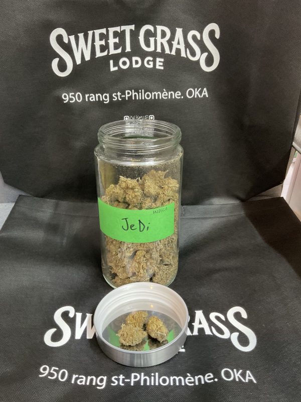 Jedi Indica For Sale