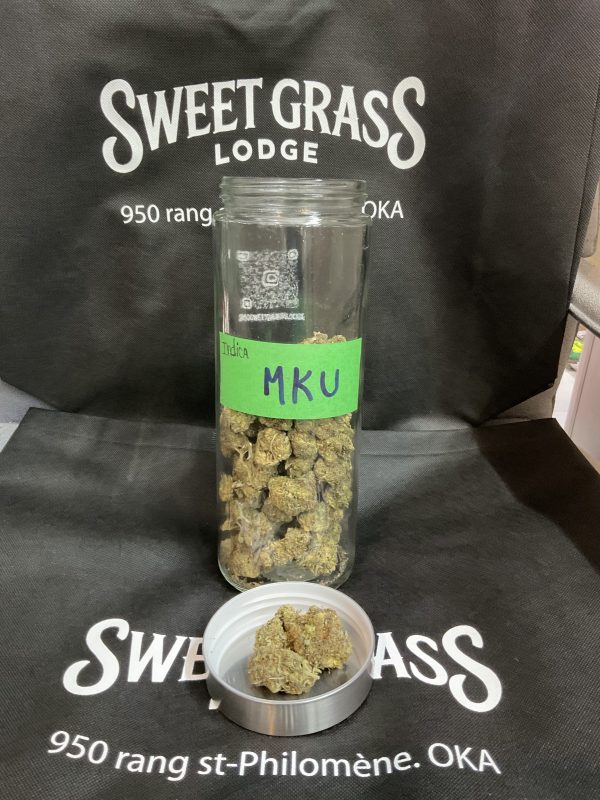 MKU Indica For Sale