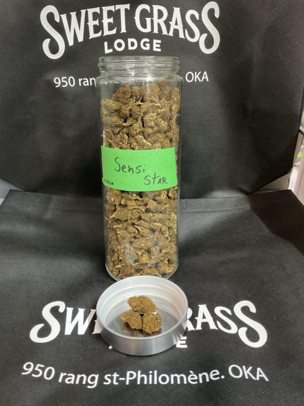 Sensi Star Indica For Sale